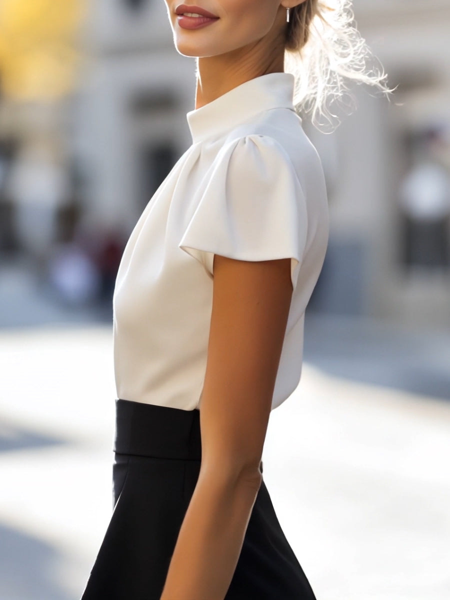 Sophisticated Pleated High-Neck Blouse