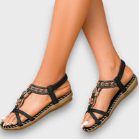 Black and Brown